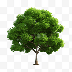 3d 模型树元素