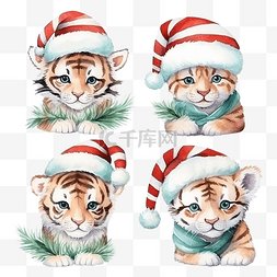 动物园的老虎图片_水彩画圣诞节套装，配有老虎和节