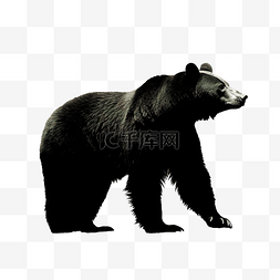 人的外轮廓图片_动物 熊 剪影