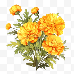 皇家花图片_数字绘画隔离黄色万寿菊花的灌木
