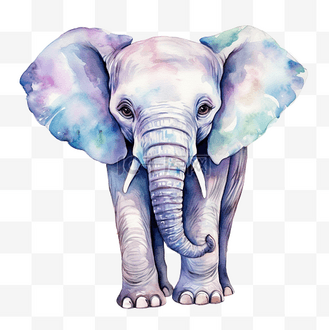 水彩大象剪贴画