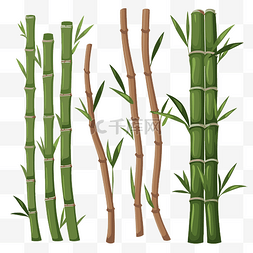 竹剪贴画草竹棍和绿叶矢量集设置