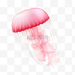 透明果冻图片_简单的粉色水母
