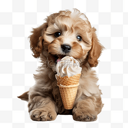 吃粉图片_小狗吃冰淇淋ai生成