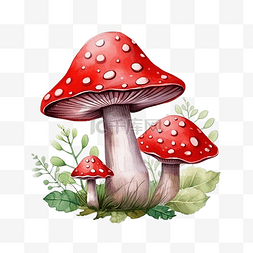 水彩风格可爱的红蘑菇毒药