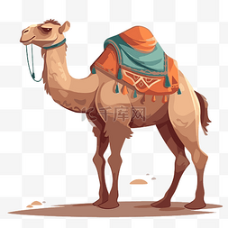 camal剪贴画骆驼与传统披肩站在白
