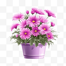 现实的玫瑰图片_紫色盆中的粉色花朵，现实风格的