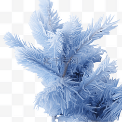 蓝色磨砂素材图片_蓝色圣诞树磨砂第一霜选定的焦点