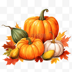 感恩节时尚图片_感恩节时尚的组合，秋天的色彩和