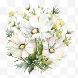 草本的图片_水彩风格的白色野花