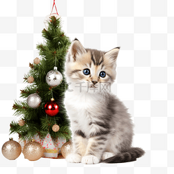 一只可爱的小猫坐在圣诞树附近