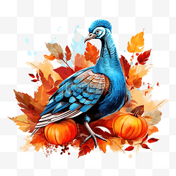 加拿大树叶图片_火鸡和感恩节树叶矢量设计