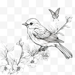 兒童書图片_鸟卡通铅笔画风格花园里的动物和