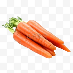目的图图片_橙色胡萝卜是一种富含维生素的水
