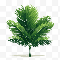 棕櫚樹葉 向量