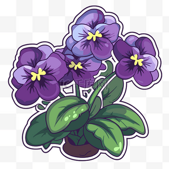 补丁花园紫罗兰盆栽设计壁纸 向量