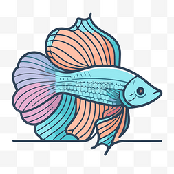 暹罗斗鱼插画 向量