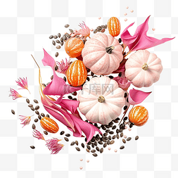 南瓜和南瓜花图片_感恩节南瓜和粉红色种子的安排