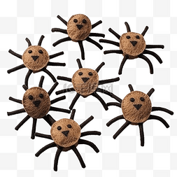 棕色的蜘蛛图片_感觉网络上的数字