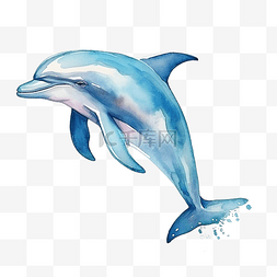 水彩水族馆图片_水彩海豚剪贴画