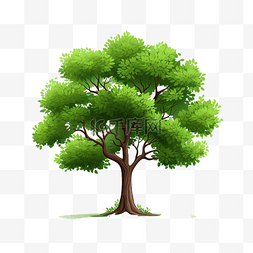 单个绿色圆形树平面对象png