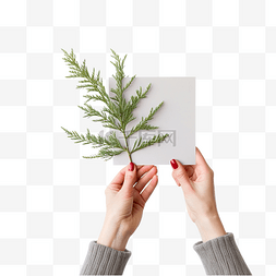 伸出一只手人图片_女手拿着灰色的圣诞树枝