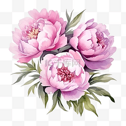 水彩粉色牡丹花花束