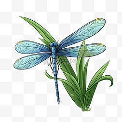 卡通动植物图片_蜻蜓卡通铅笔画花园里动植物的风