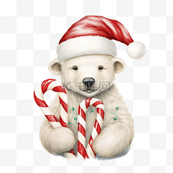 糖果小熊图片_可爱的北极熊，戴着帽子和毛衣棒