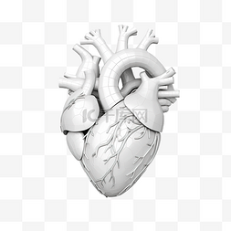颈动脉硬化示意图图片_人类心脏 3D 模型的简约插图