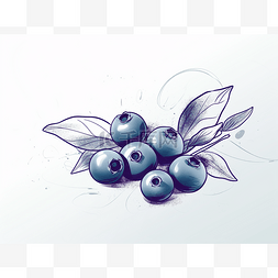 一束蓝莓和树叶的草图