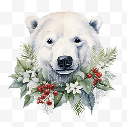 手绘北极熊与圣诞花的水彩肖像