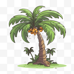 棕榈树 向量