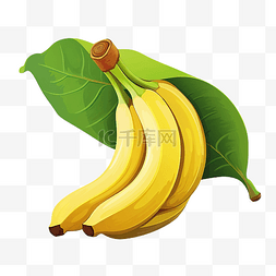 剥皮的蔬菜图片_热带香蕉水果 PNG 文件