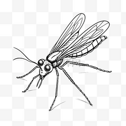 翼手图片_昆虫蚊子涂鸦