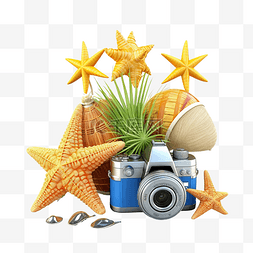 场馆预订图片_3d 夏季旅行与掌舵球海星菠萝相机