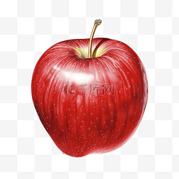 水果写实画图片_写实画整个苹果