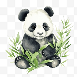 水彩熊猫可爱剪贴画