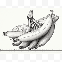 一叠香蕉是用石墨墨水设计的