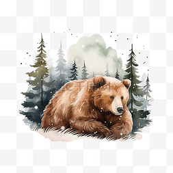 老睡熊看起来像山林熊冬天心情圣