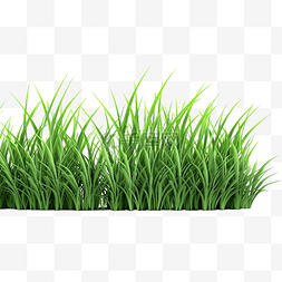 生活新鲜新鲜图片_3d 孤立的绿草