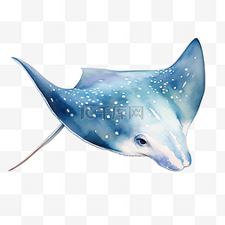 自然海洋图片_黄貂鱼水彩海洋动物剪贴画