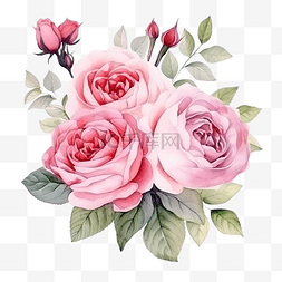花园玫瑰花图片_水彩美丽的英国玫瑰花花束花园广