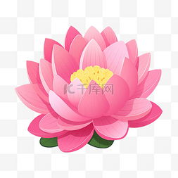 扁平风格的粉色莲花