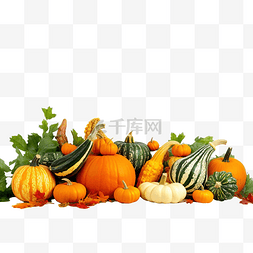 秋收万圣节或感恩节概念，配有橙