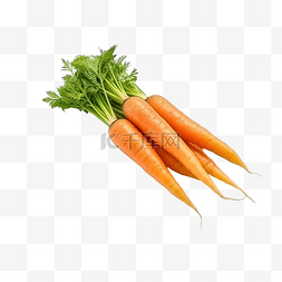 新鲜胡萝卜为您的蔬菜概念