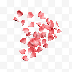 粉色玫瑰花落下图片_玫瑰花瓣从右侧分离落下情人节快