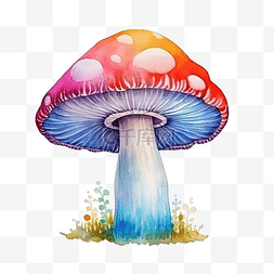 水彩多彩蘑菇