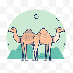两只骆驼一起站在草地和山边 向