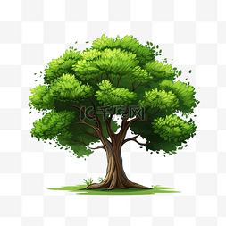 木色几何图片_png元素绿树卡通